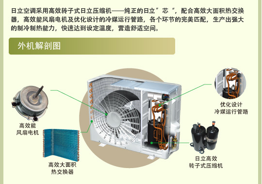 久久久久精品国产麻豆特性